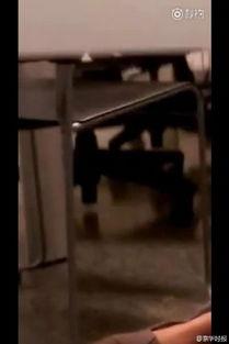 htc办公室不雅视频,不雅视频事件引发职场道德风波