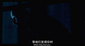 得爱在线视频,探索情感共鸣的数字世界