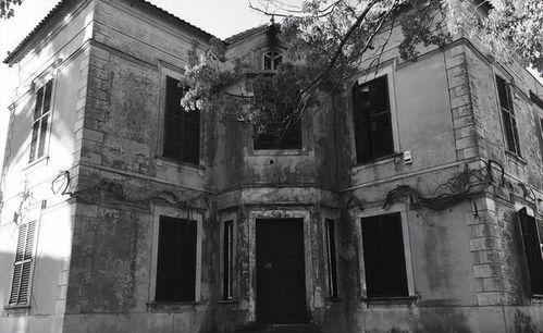 林家宅37号事件视频